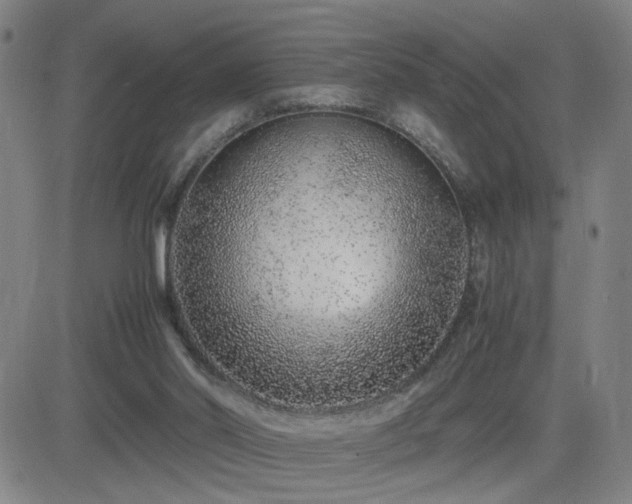 X0000082750014200702021422