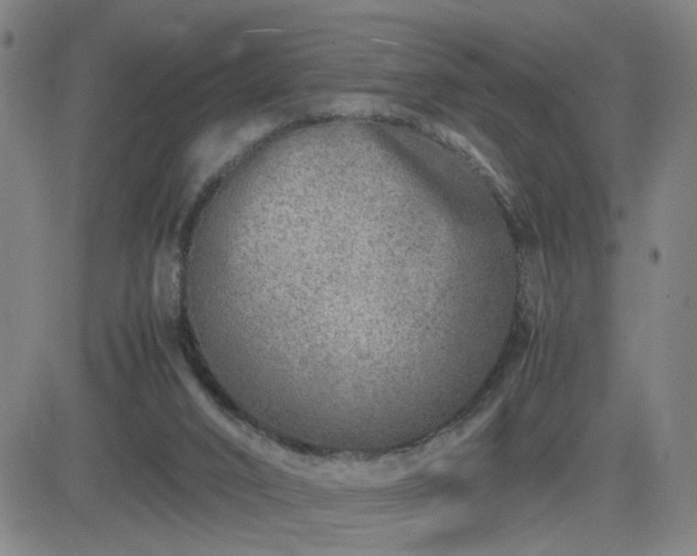 X0000082750016200702021422
