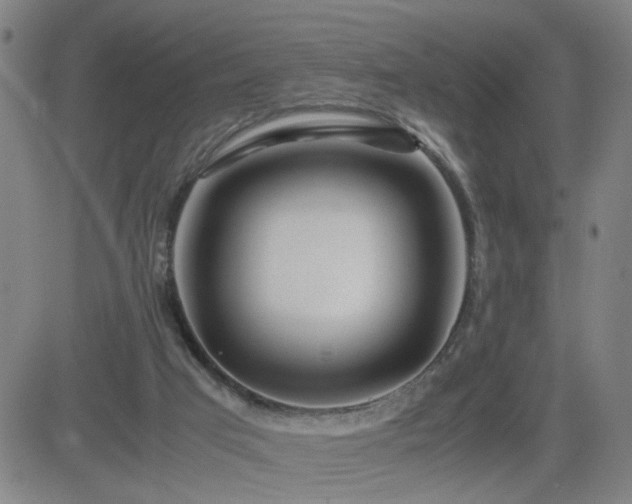 X0000082750017200702021422