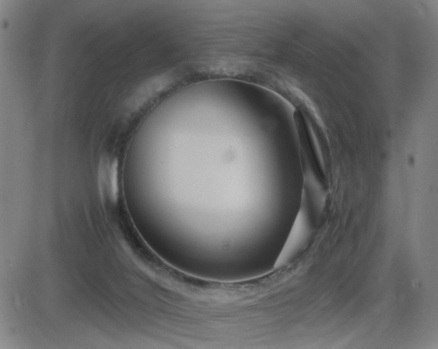 X0000082750020200702021422