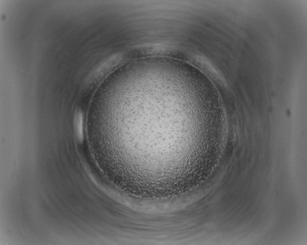 X0000082750022200702021422