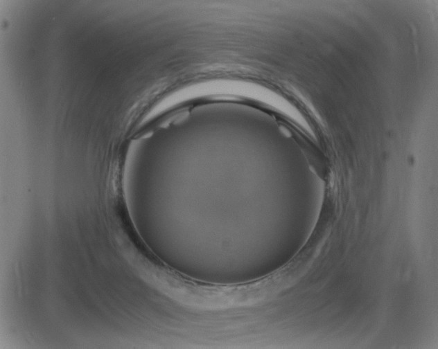 X0000082750023200702021422