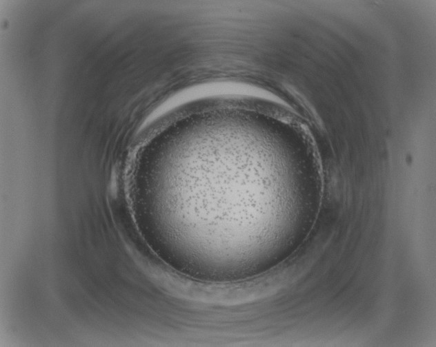 X0000082750026200702021422