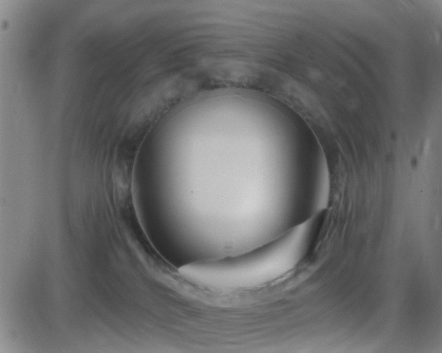 X0000082750040200702021421