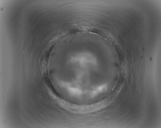 X0000082750043200702021421