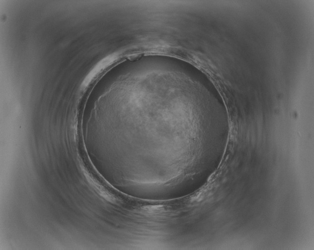 X0000082750054200702021421