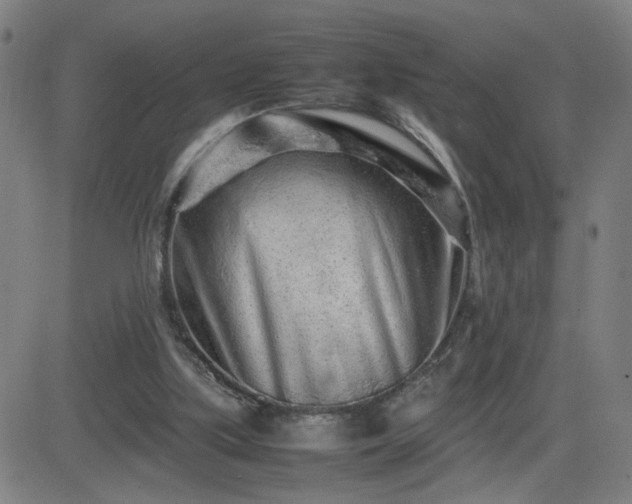 X0000082750059200702021421