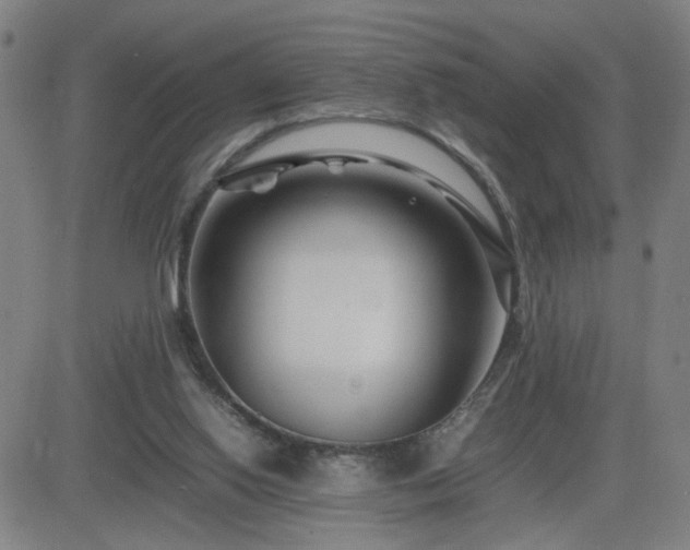 X0000082750062200702021421