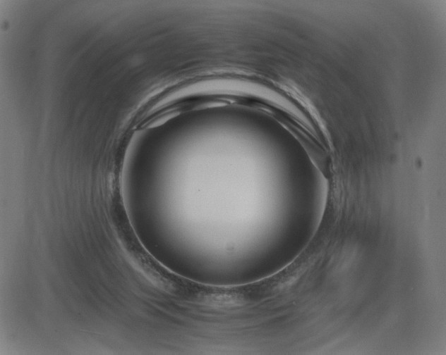 X0000082750063200702021421