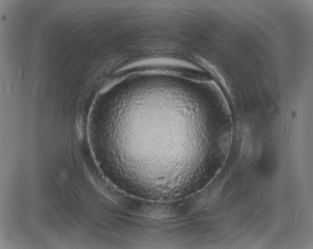 X0000082750069200702021421