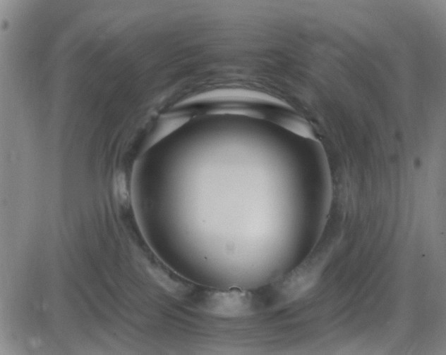 X0000082750089200702021421