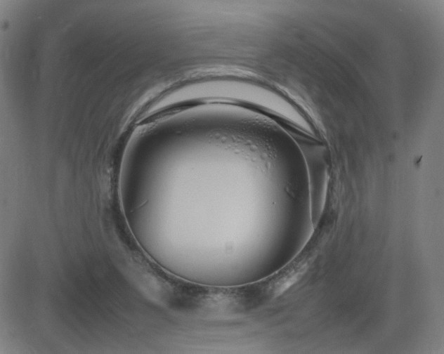 X0000082750111200702021420