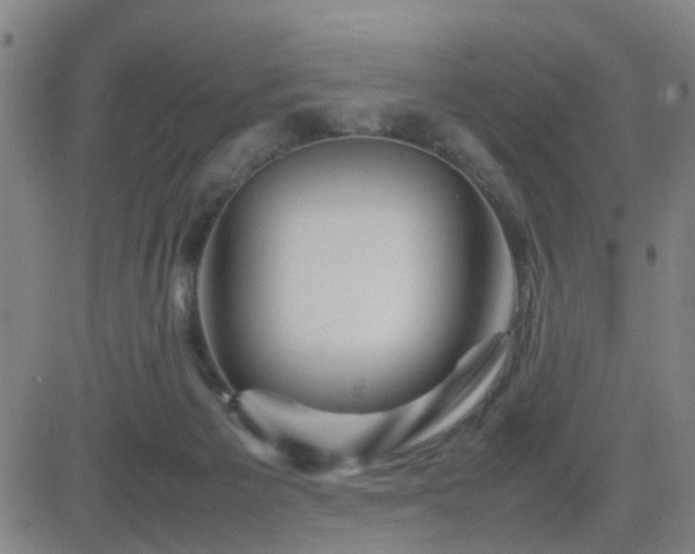 X0000082750125200702021420