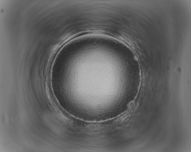 X0000082750145200702021419