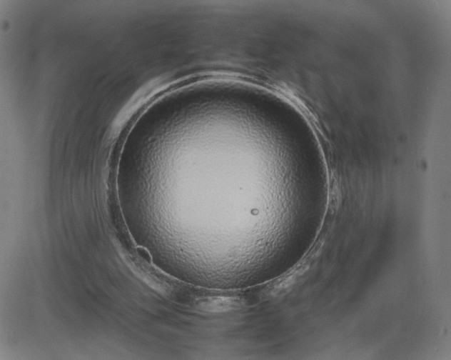 X0000082750151200702021419