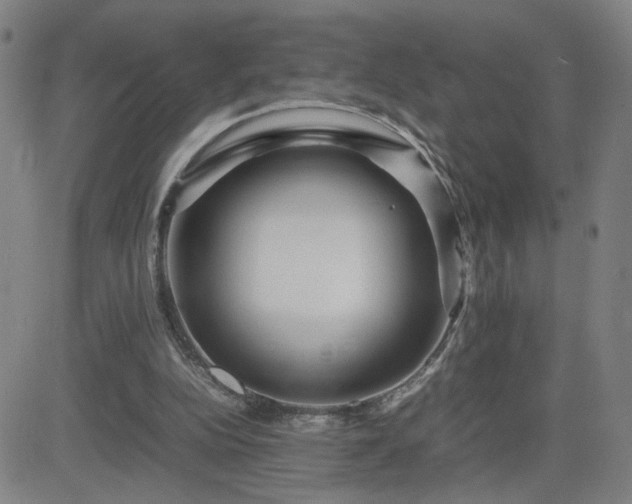 X0000082750152200702021419