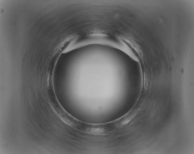 X0000082750157200702021419