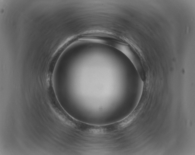 X0000082750160200702021419