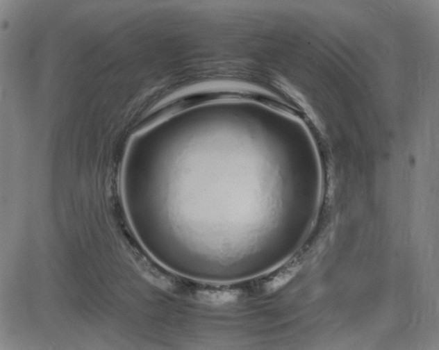 X0000082750161200702021419
