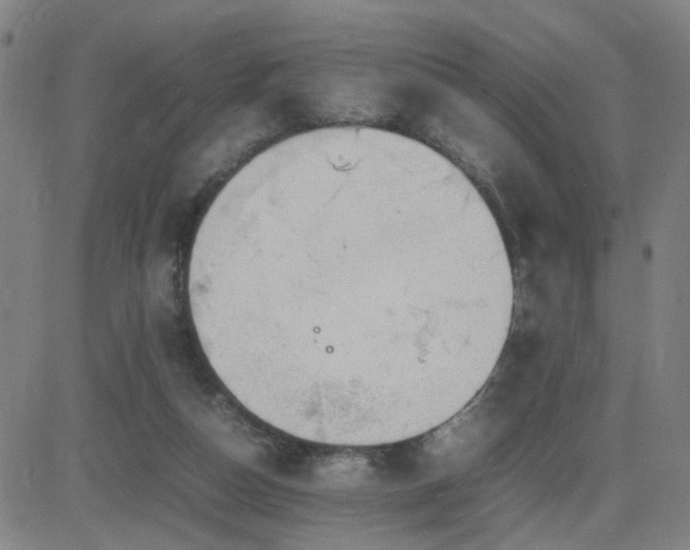 X0000082750162200702021419
