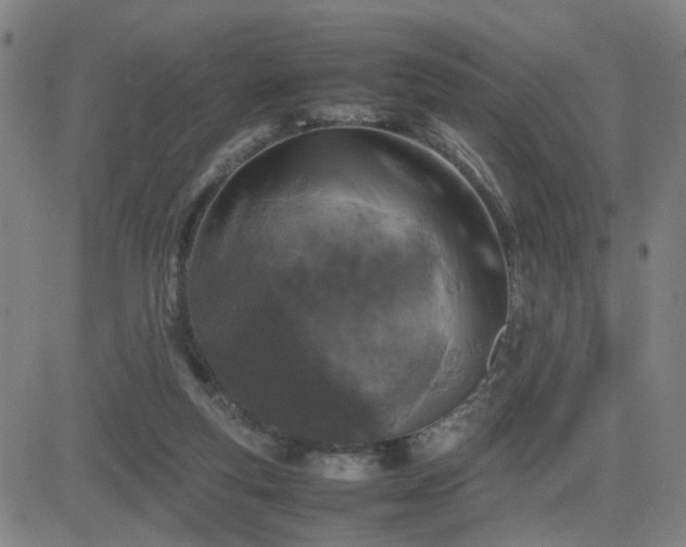 X0000082750163200702021419