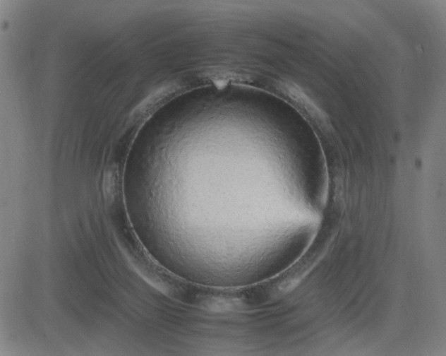 X0000082750165200702021419