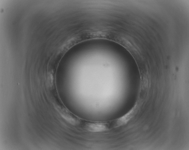 X0000082750183200702021420