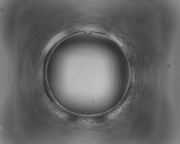 X0000082750199200702021419