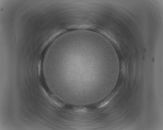 X0000082750206200702021419