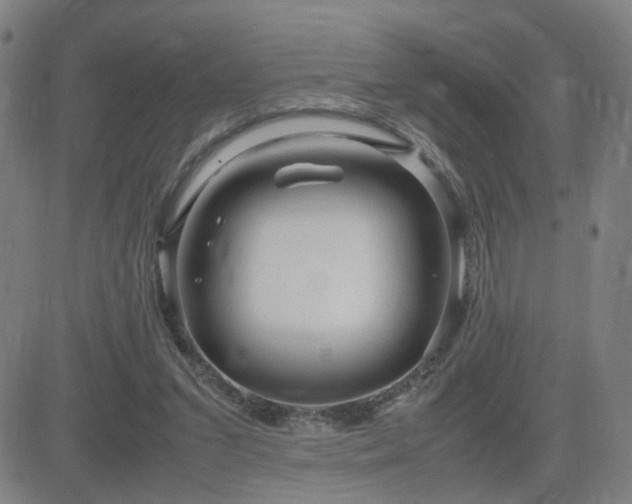 X0000082750207200702021419