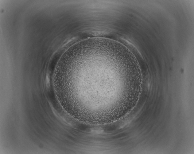 X0000082750214200702021419