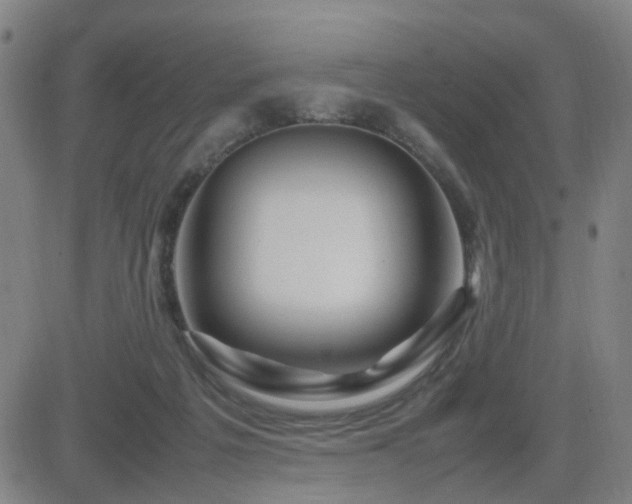 X0000082750217200702021418
