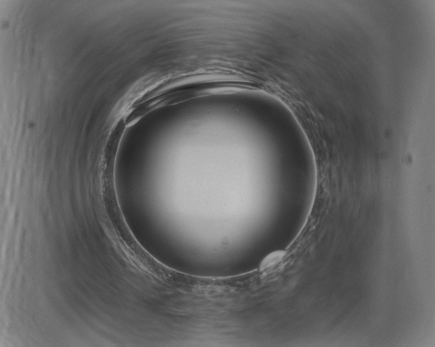 X0000082750242200702021417