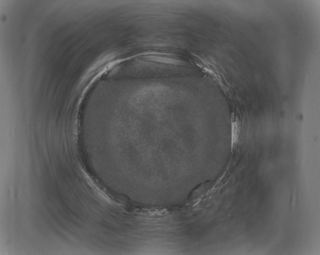 X0000082750243200702021417