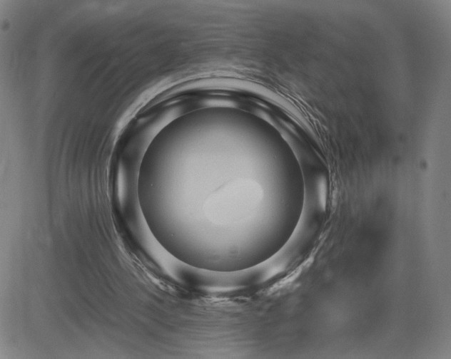 X0000082750244200702021417