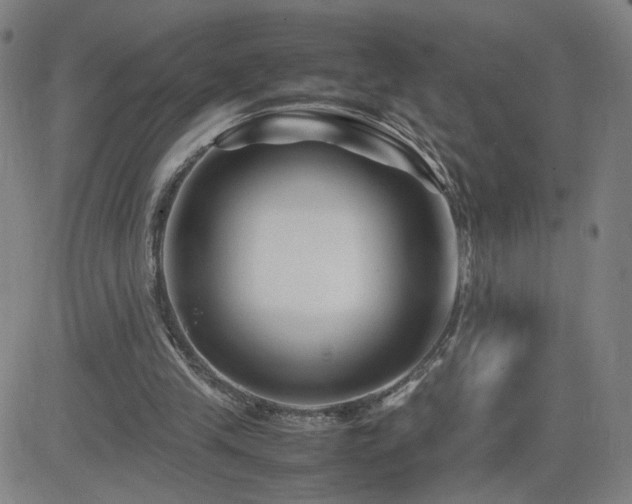 X0000082750245200702021417