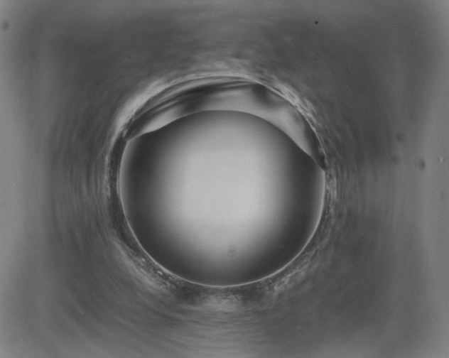 X0000082750248200702021417