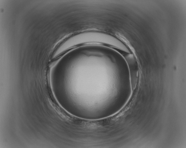 X0000082750249200702021417