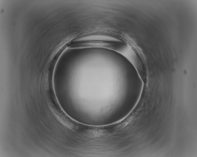 X0000082750250200702021417