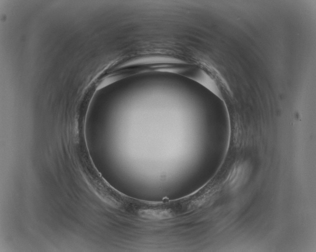 X0000082750251200702021417