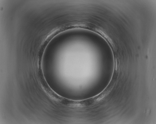 X0000082750253200702021418