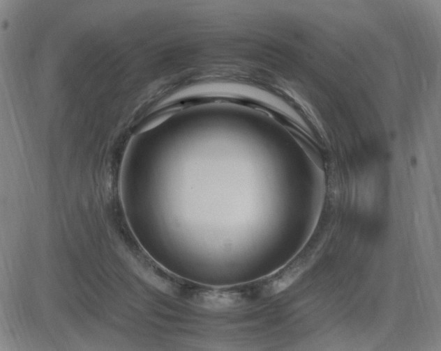 X0000082750261200702021418