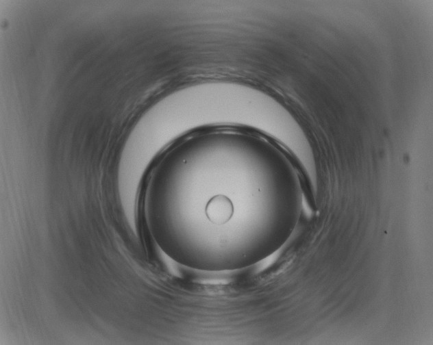 X0000082750264200702021418