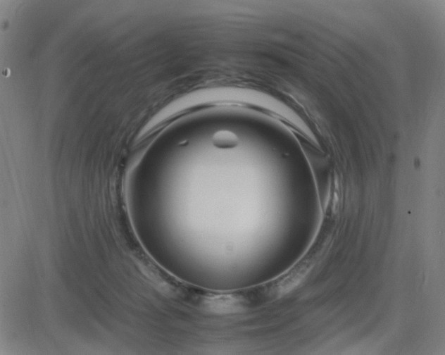 X0000082750269200702021418