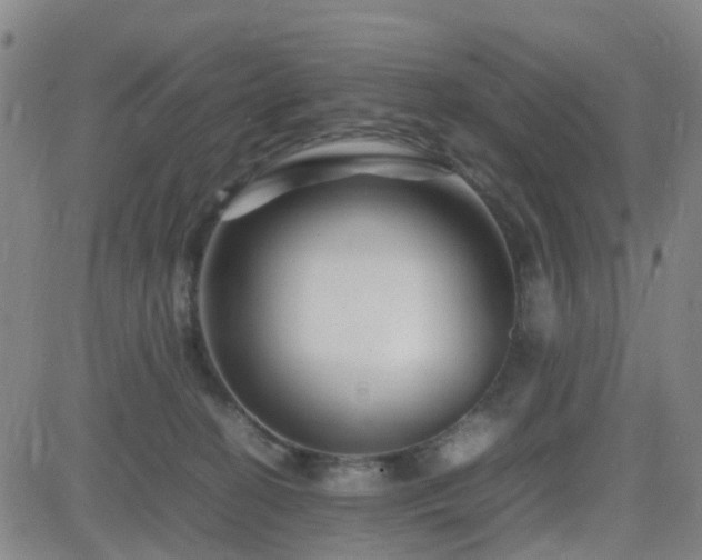 X0000082750274200702021418
