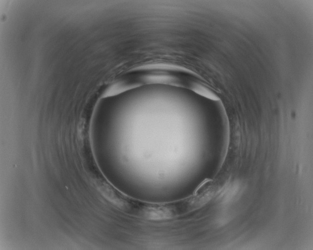 X0000082750275200702021418