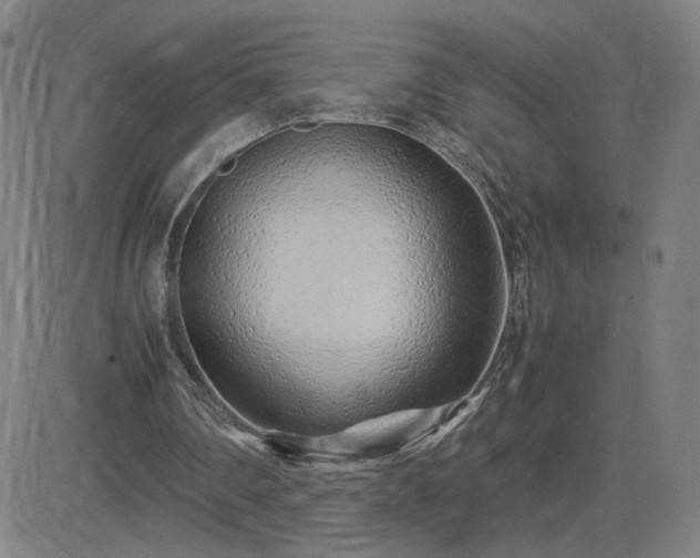 X0000082750290200702021417