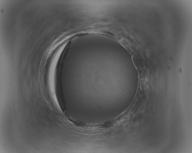 X0000082750295200702021417