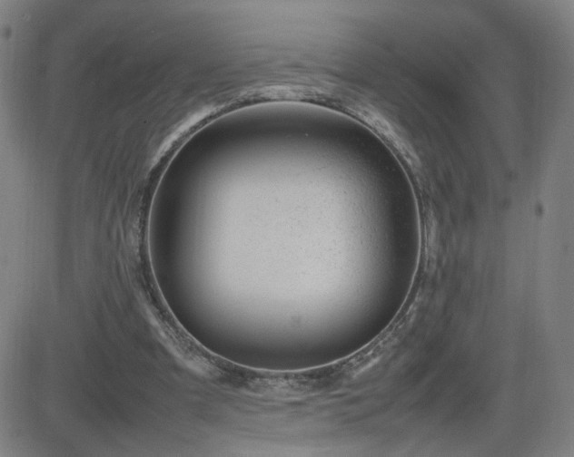 X0000082750297200702021417