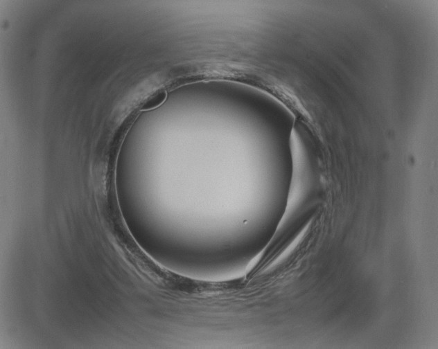 X0000082750299200702021417